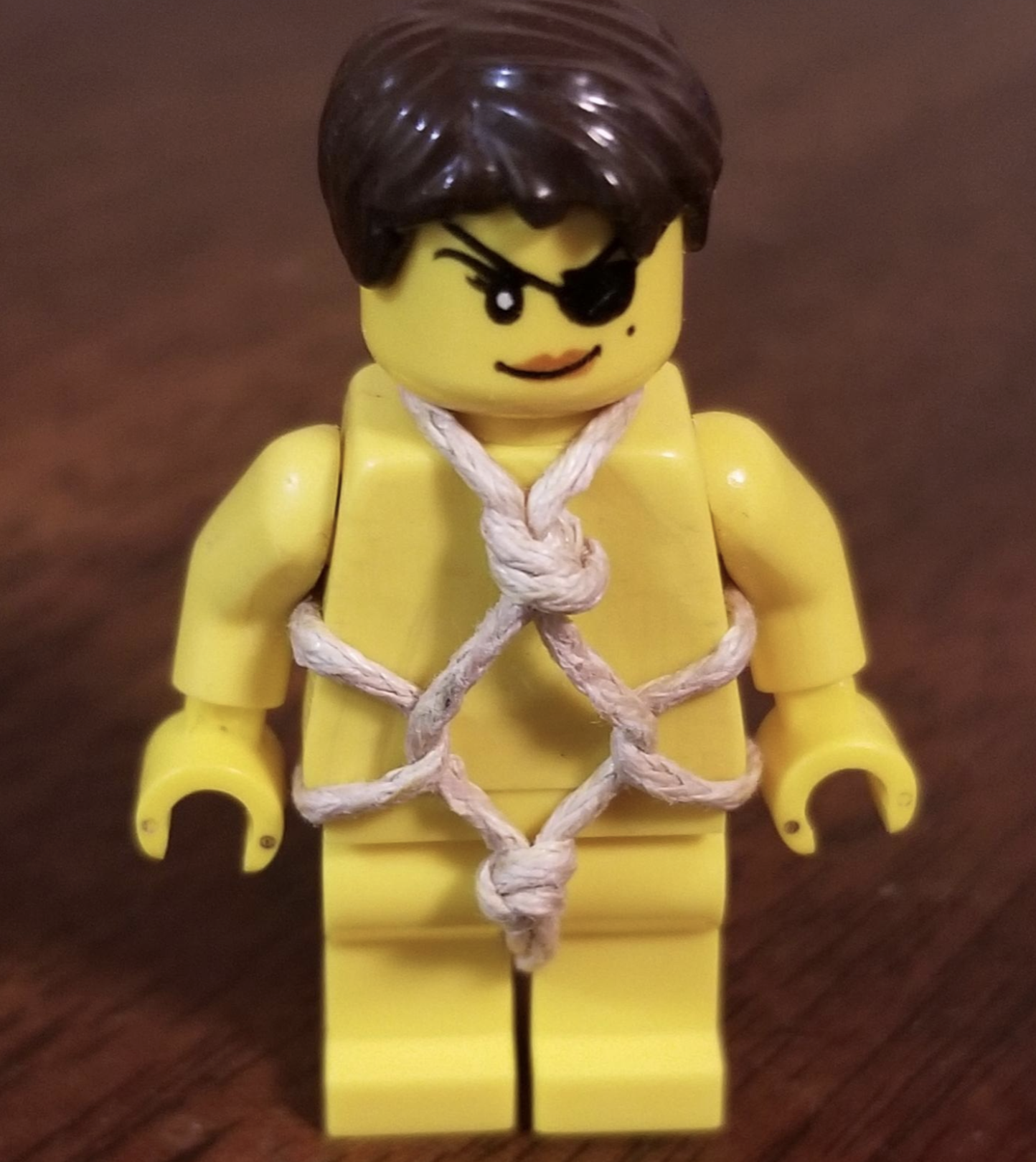 The 37 Most Painful Posts From Lego BDSM